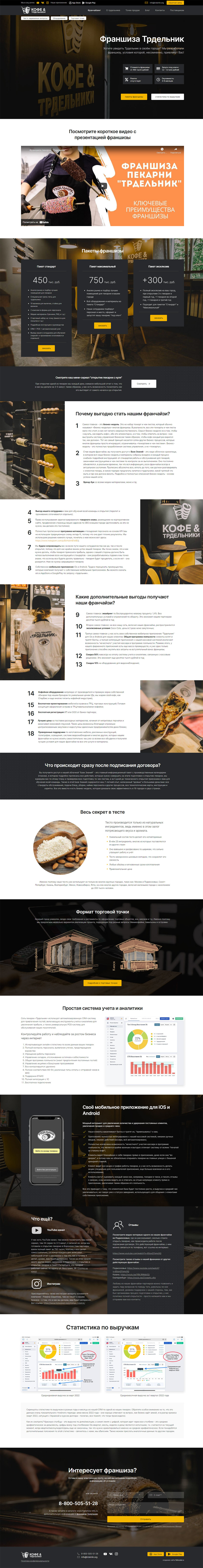 дизайн макет сайта франшизы трдельник
